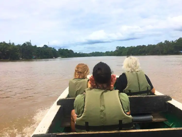 Thrilling Kinabatangan Wildlife River Cruise Tour Sandakan
